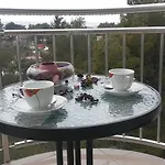 Begonia 스타리그라드 파클레니차