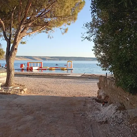 Begonia * Starigrad Paklenica