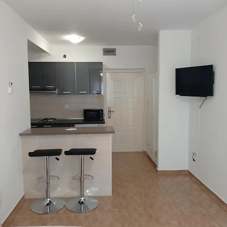 Begonia Starigrad Paklenica