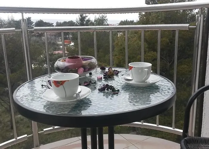 Begonia Starigrad-Paklenica