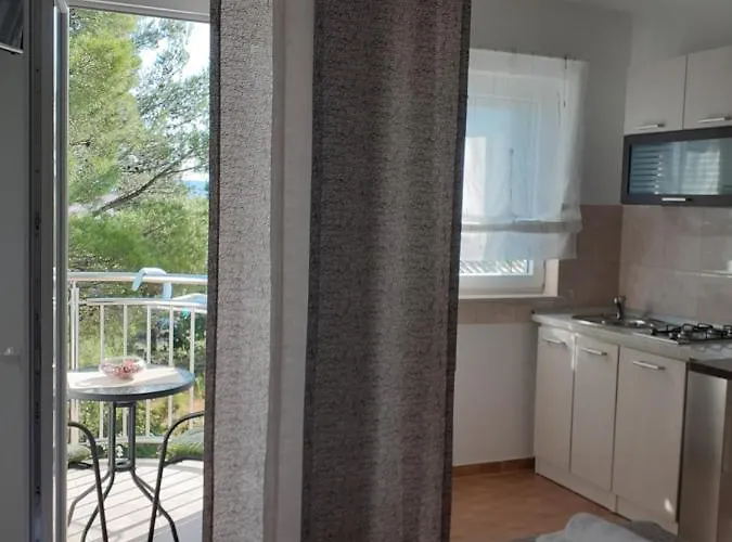 Begonia Starigrad Paklenica