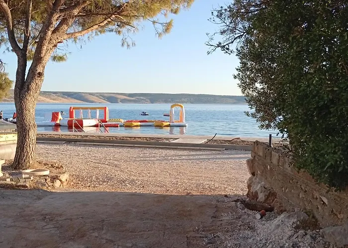 Begonia * Starigrad Paklenica