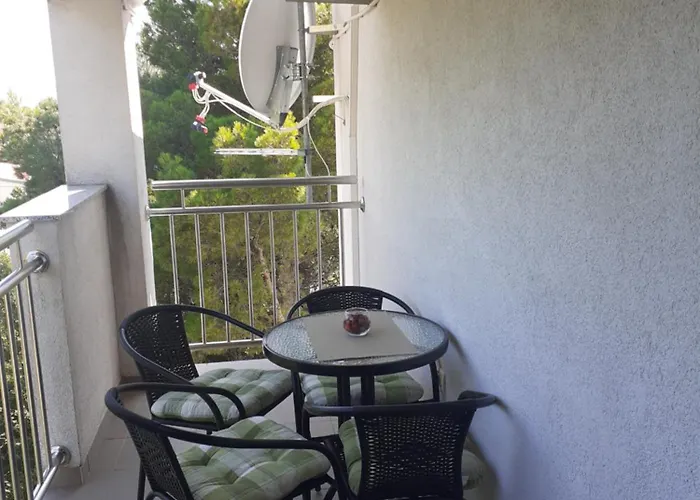 Begonia * Starigrad Paklenica