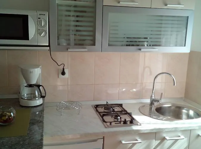 Begonia * Starigrad Paklenica